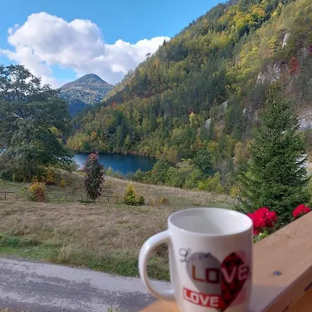 Tarska Carolija Zaovine * Popovići