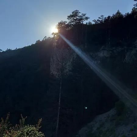 Tarska Carolija Zaovine