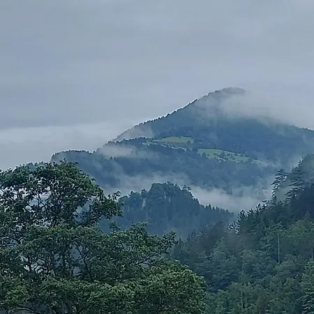 Tarska Carolija Zaovine Tatil Evi Popovići