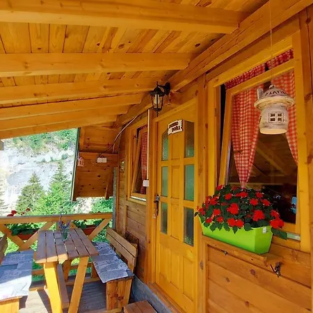 Tarska Carolija Zaovine Tatil Evi