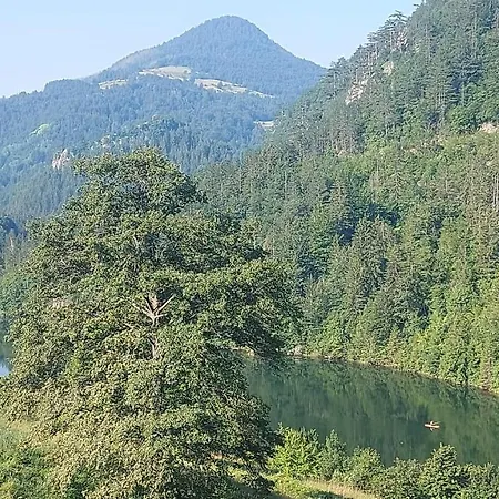 Tarska Carolija Zaovine Tatil Evi