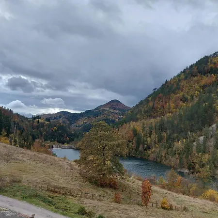 Tarska Carolija Zaovine *