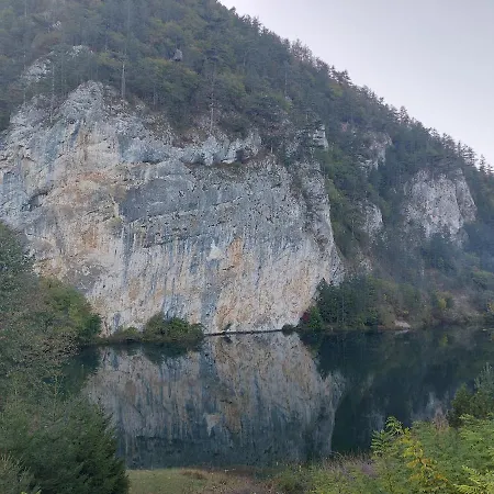 Tarska Carolija Zaovine *