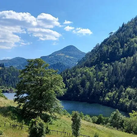 Tatil Evi Tarska Carolija Zaovine *