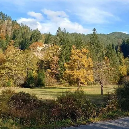 Tarska Carolija Zaovine Tatil Evi Popovići