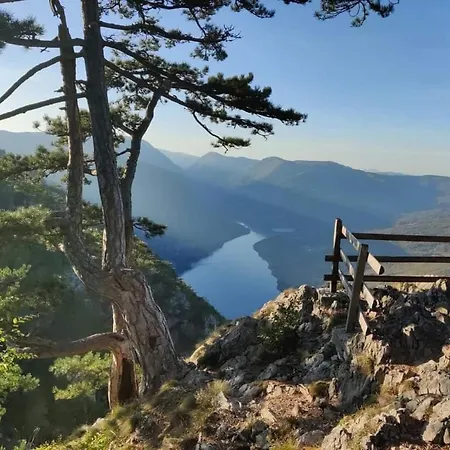 Tarska Carolija Zaovine *