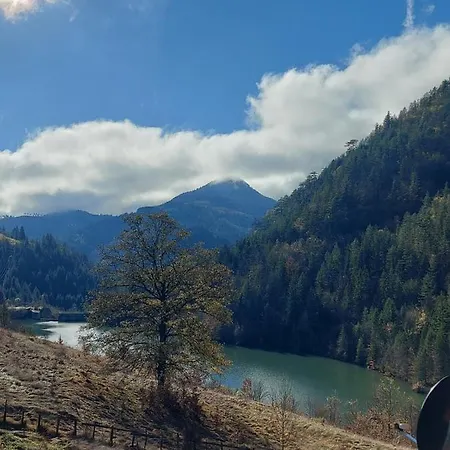 Tarska Carolija Zaovine