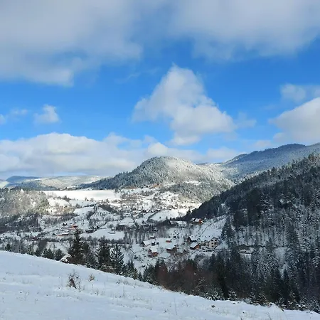 Tarska Carolija Zaovine Tatil Evi