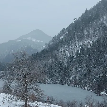 Tarska Carolija Zaovine Dom wakacyjny *