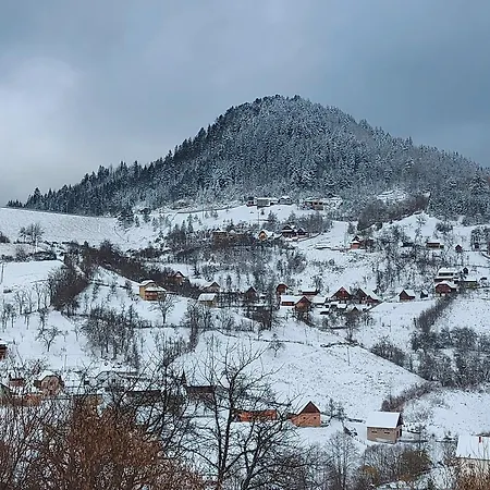 Tatil Evi Tarska Carolija Zaovine