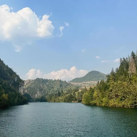 Tarska Carolija Zaovine