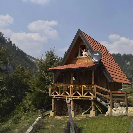 Tarska Carolija Zaovine Tatil Evi *