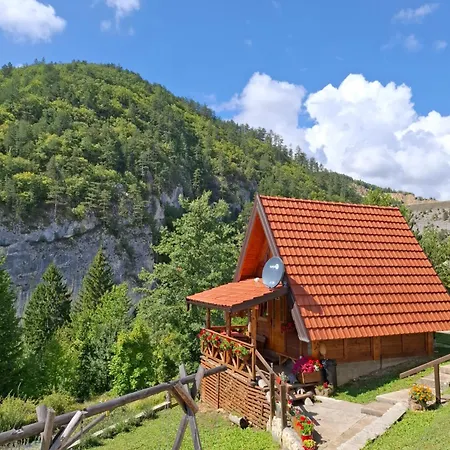 Tarska Carolija Zaovine *