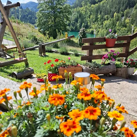 Tarska Carolija Zaovine Tatil Evi