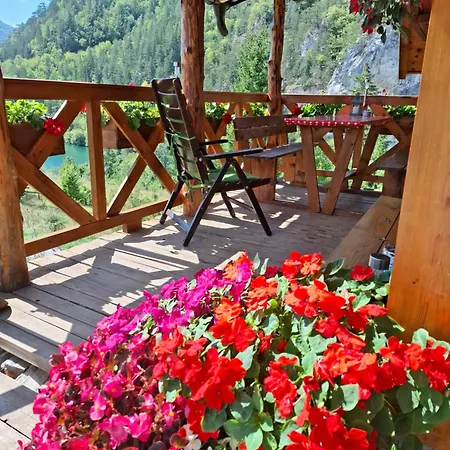 Tarska Carolija Zaovine *